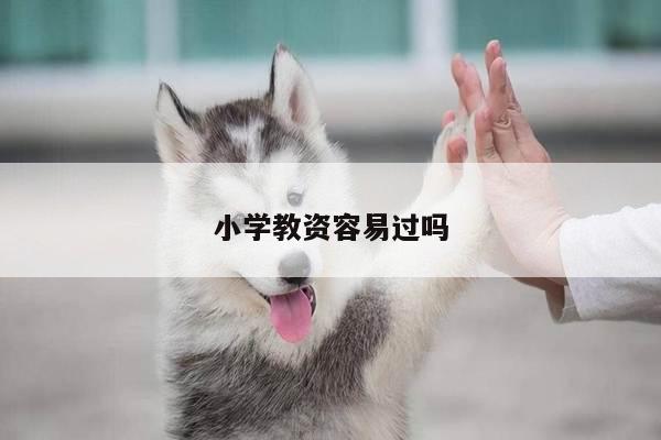 小学教资容易过吗