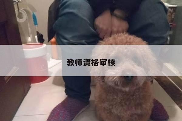 教师资格审核
