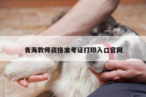 青海教师资格准考证打印入口官网