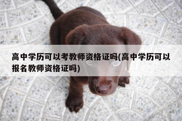 高中学历可以考教师资格证吗(高中学历可以报名教师资格证吗)