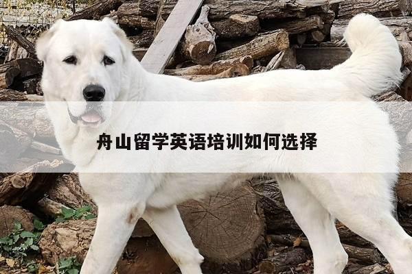 舟山留学英语培训如何选择