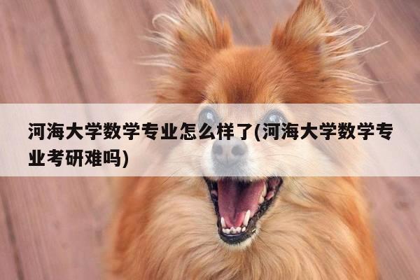 河海大学数学专业怎么样了(河海大学数学专业考研难吗)
