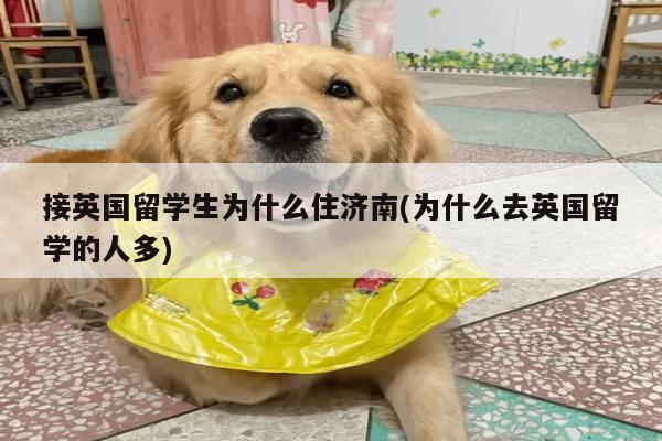接英国留学生为什么住济南(为什么去英国留学的人多)