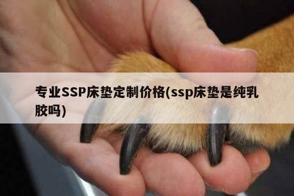 专业SSP床垫定制价格(ssp床垫是纯乳胶吗)