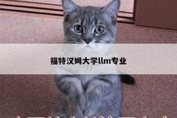 福特汉姆大学llm专业