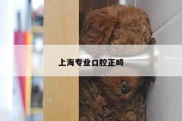 上海专业口腔正畸