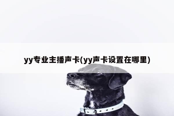 yy专业主播声卡(yy声卡设置在哪里)