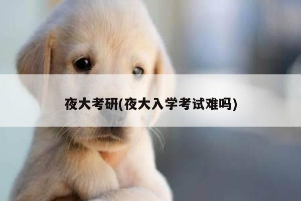 夜大考研(夜大入学考试难吗)