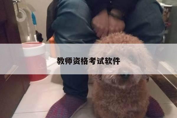 教师资格考试软件