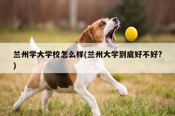兰州学大学校怎么样(兰州大学到底好不好?)