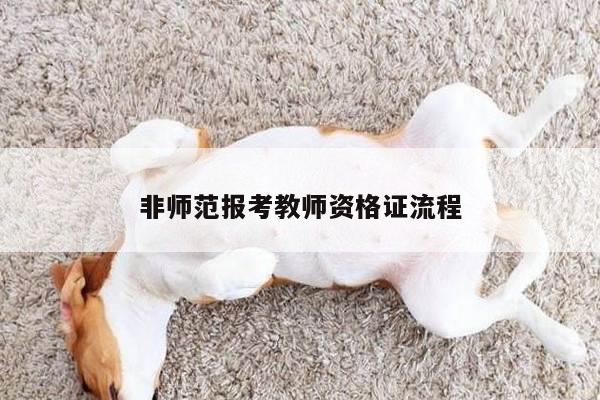 非师范报考教师资格证流程