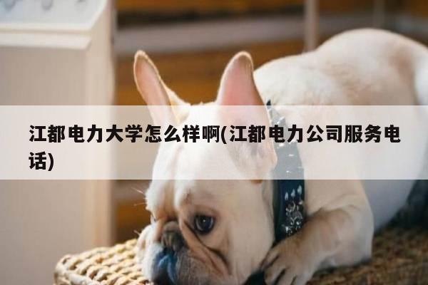 江都电力大学怎么样啊(江都电力公司服务电话)