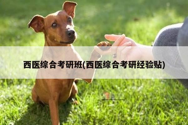 西医综合考研班(西医综合考研经验贴)