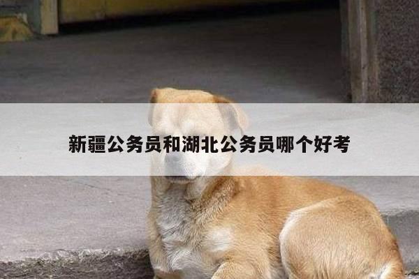 新疆公务员和湖北公务员哪个好考