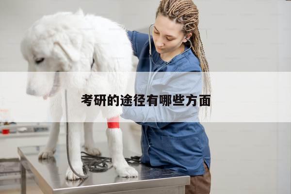 考研的途径有哪些方面