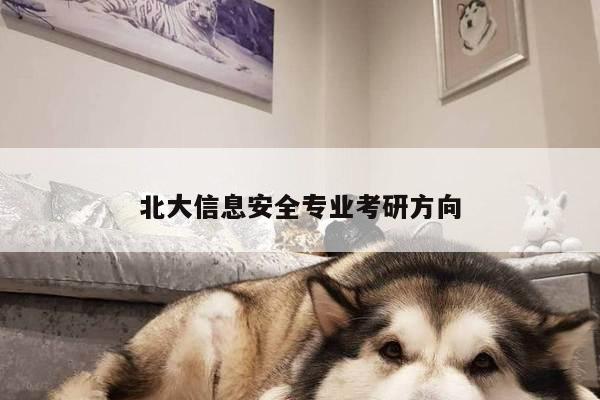 北大信息安全专业考研方向