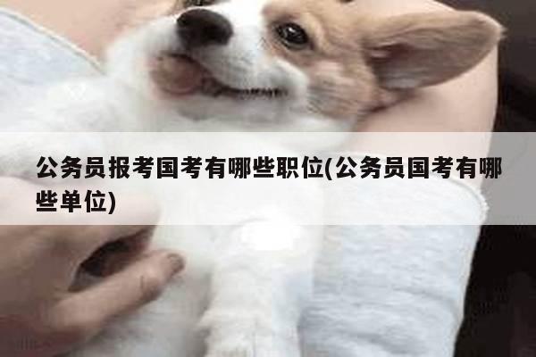 公务员报考国考有哪些职位(公务员国考有哪些单位)