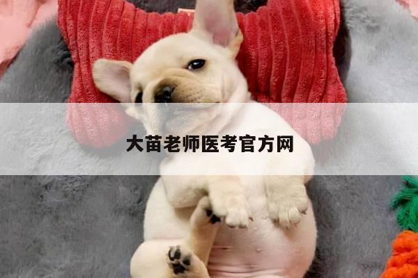大苗老师医考官方网