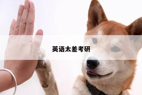 英语太差考研