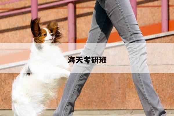 海天考研班