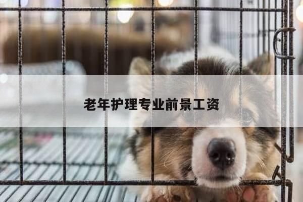 老年护理专业前景工资