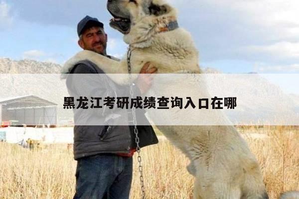 黑龙江考研成绩查询入口在哪