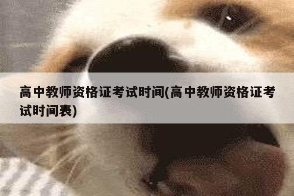 高中教师资格证考试时间(高中教师资格证考试时间表)