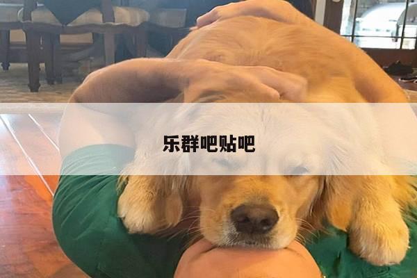 乐群吧贴吧