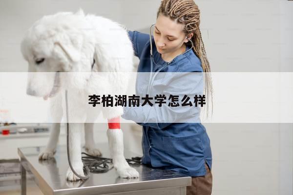 李柏湖南大学怎么样