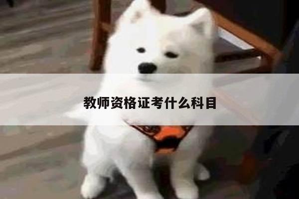 教师资格证考什么科目