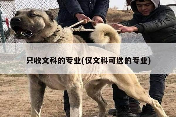 只收文科的专业(仅文科可选的专业)