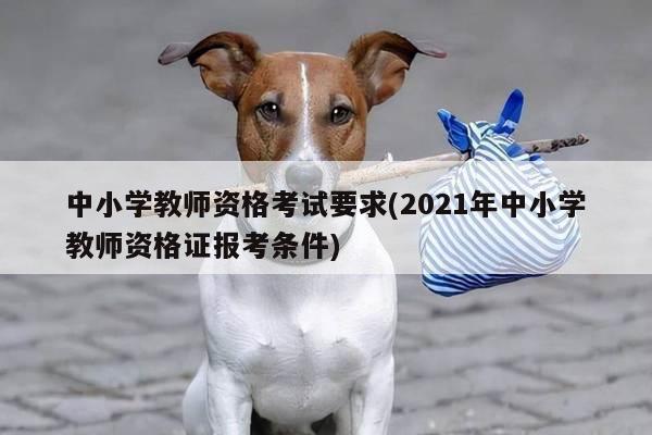 中小学教师资格考试要求(2021年中小学教师资格证报考条件)