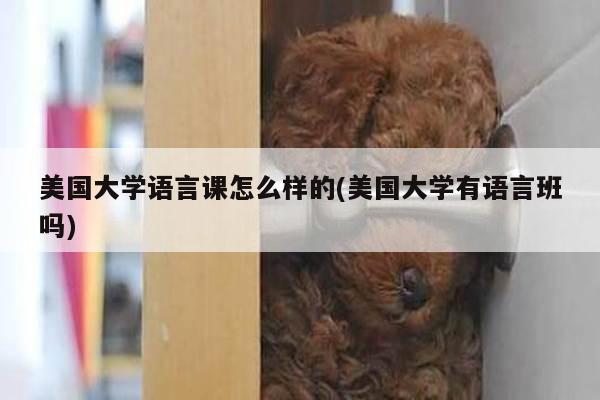 美国大学语言课怎么样的(美国大学有语言班吗)