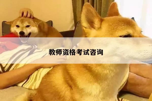 教师资格考试咨询