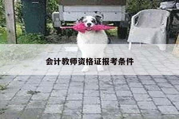 会计教师资格证报考条件