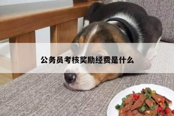公务员考核奖励经费是什么