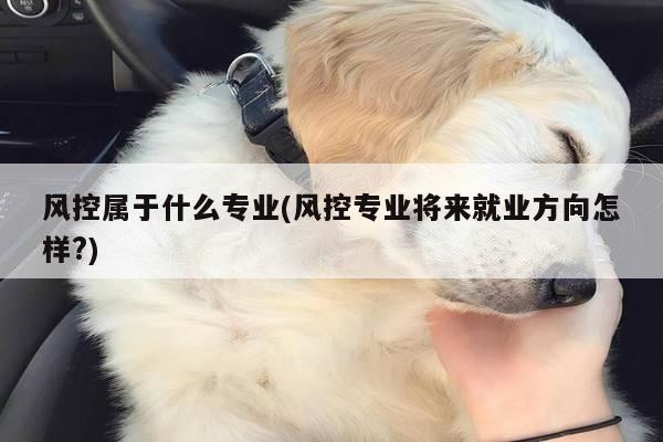 风控属于什么专业(风控专业将来就业方向怎样?)