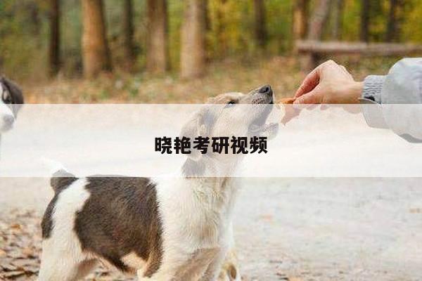 晓艳考研视频