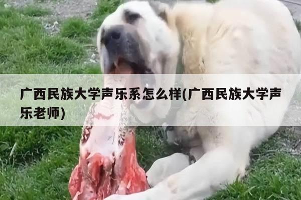 广西民族大学声乐系怎么样(广西民族大学声乐老师)