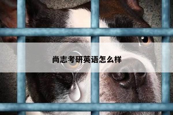 尚志考研英语怎么样