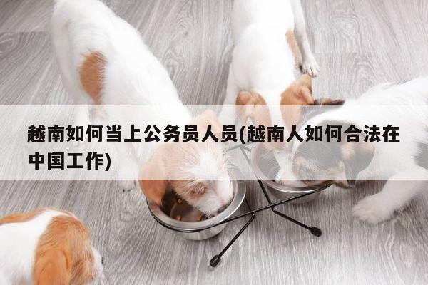 越南如何当上公务员人员(越南人如何合法在中国工作)