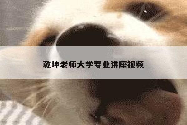 乾坤老师大学专业讲座视频