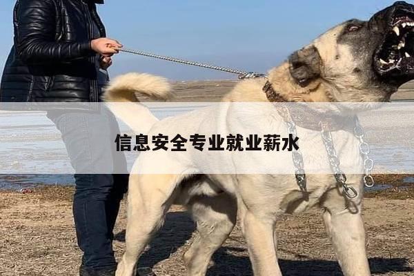 信息安全专业就业薪水
