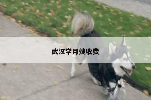 武汉学月嫂收费