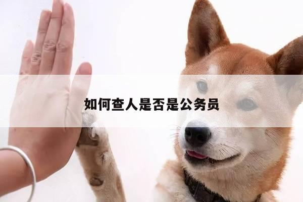 如何查人是否是公务员