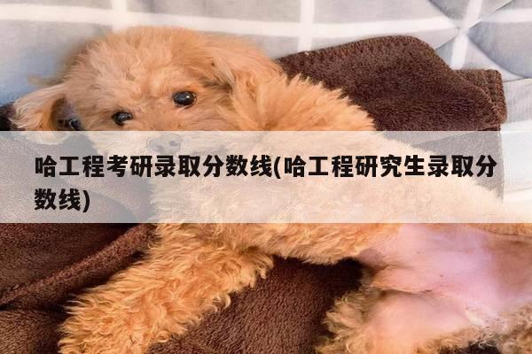 哈工程考研录取分数线(哈工程研究生录取分数线)
