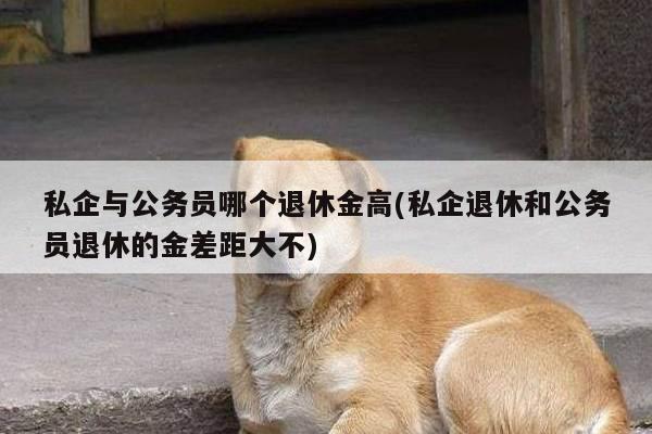 私企与公务员哪个退休金高(私企退休和公务员退休的金差距大不)