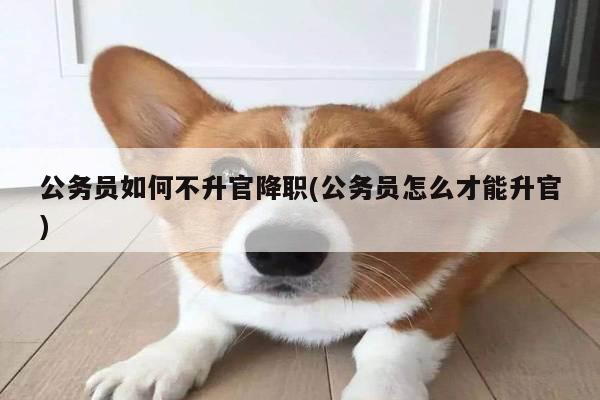 公务员如何不升官降职(公务员怎么才能升官)