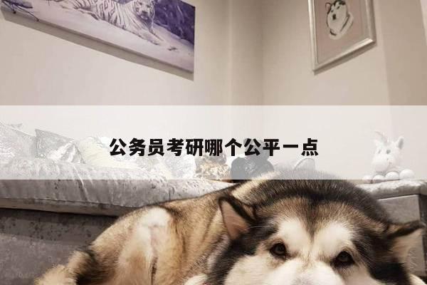 公务员考研哪个公平一点