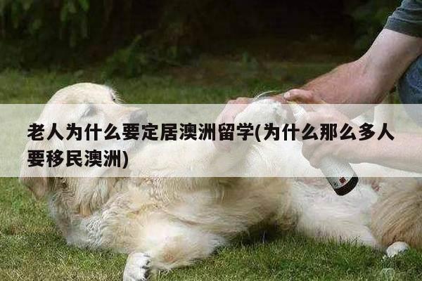 老人为什么要定居澳洲留学(为什么那么多人要移民澳洲)